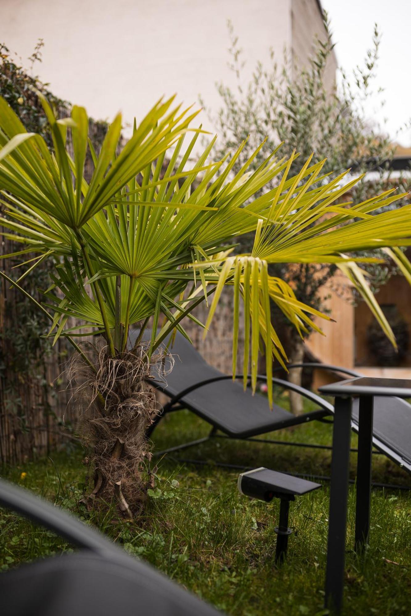 Modernhouse Ko26 Apartman Koblenz  Kültér fotó